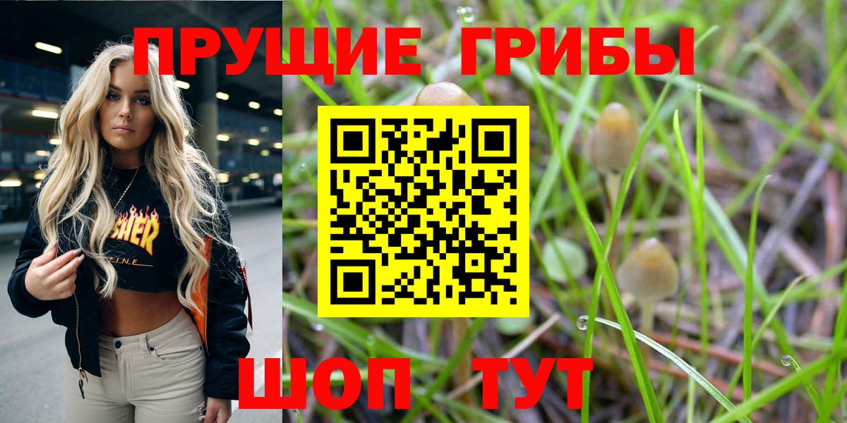 Галлюциногенные грибы Cubensis Ливны